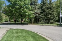 a small car drives down a deserted street in the park at daytime in this urban area