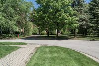 a small car drives down a deserted street in the park at daytime in this urban area