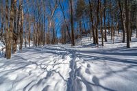 a trail is covered with snow in the woods of winter, near the trees on the mountain