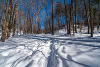 a trail is covered with snow in the woods of winter, near the trees on the mountain