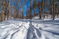 a trail is covered with snow in the woods of winter, near the trees on the mountain