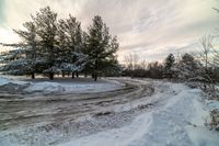 a road surrounded by trees covered in snow and clouds with some clouds moving over the branches