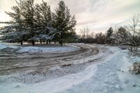 a road surrounded by trees covered in snow and clouds with some clouds moving over the branches