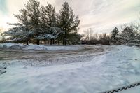 a road surrounded by trees covered in snow and clouds with some clouds moving over the branches