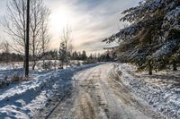 a dirt road with several trees and snow on the ground next to it is a field