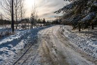 a dirt road with several trees and snow on the ground next to it is a field