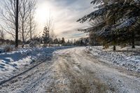 a dirt road with several trees and snow on the ground next to it is a field