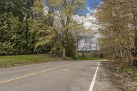 empty street with no cars in the distance near the wooded landscape on a sunny day