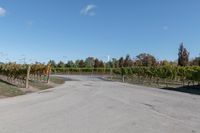 Canada Rural Road Asphalt Landscape 002