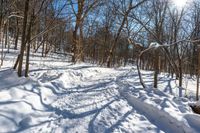 a snow covered path in the forest with many trees and logs and small piles of snow