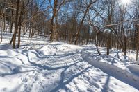 a snow covered path in the forest with many trees and logs and small piles of snow