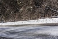 Canada Snowy Forest Road Landscape 001