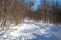 a snow covered path leads through the woods to a trail made from the snow and surrounded by snow - covered trees