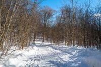 a snow covered path leads through the woods to a trail made from the snow and surrounded by snow - covered trees