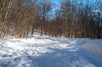 a snow covered path leads through the woods to a trail made from the snow and surrounded by snow - covered trees