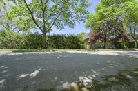 a basketball court is pictured with two trees in the background and no one outside, on a sunny day