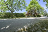 a basketball court is pictured with two trees in the background and no one outside, on a sunny day