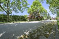 a basketball court is pictured with two trees in the background and no one outside, on a sunny day