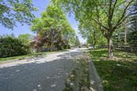 a basketball court is pictured with two trees in the background and no one outside, on a sunny day