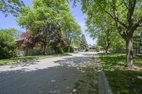 a basketball court is pictured with two trees in the background and no one outside, on a sunny day