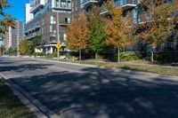 a street lined with tall buildings and trees in the fall, on a clear day