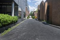 Canada Urban Design Walkway in Residential Neighborhood 001