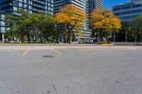 Urban Street in Canada's Toronto, Ontario