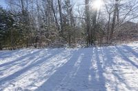 Canada's Vegetation: Off Road Track