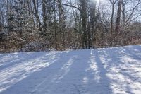 Canada's Vegetation: Off Road Track