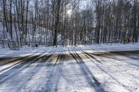 a road covered by snow with trees and the sun shining on the road behind it