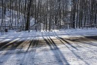 a road covered by snow with trees and the sun shining on the road behind it