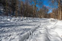 a trail through a snowy forest is lined with trees and snowbanks while the sun shines