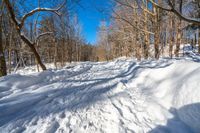 a snow covered path through the woods in the winter of 2009, with trees on the hillside