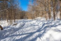 a snow covered path through the woods in the winter of 2009, with trees on the hillside