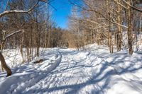 a snow covered path through the woods in the winter of 2009, with trees on the hillside