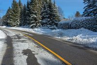 a yellow line marks the road, where trees are covered with snow and a yellow line runs down the middle