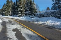 a yellow line marks the road, where trees are covered with snow and a yellow line runs down the middle