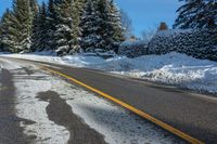 a yellow line marks the road, where trees are covered with snow and a yellow line runs down the middle