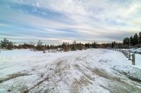 a rural road is covered in snow and drifts off the ground, with lots of trees, and other wintering