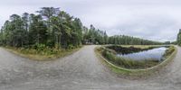 a panoramic view of a pond and dirt road surrounded by woods with tall trees