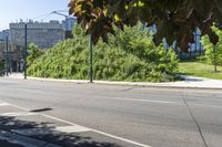 empty city street with green trees on both sides of the road and a tall building in the background