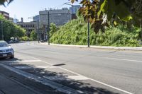 empty city street with green trees on both sides of the road and a tall building in the background