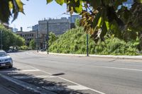 empty city street with green trees on both sides of the road and a tall building in the background