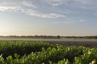 a lone person is sitting in the middle of some leaves outside at sunset in a vast field