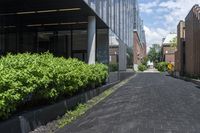 a paved sidewalk near buildings and a fenced in area near the street with bushes