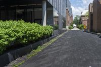 a paved sidewalk near buildings and a fenced in area near the street with bushes