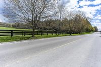 Canadian Asphalt Road: Tree Lined with Green Grass