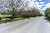 Canadian Asphalt Road: Tree Lined with Green Grass