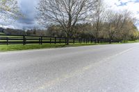 Canadian Asphalt Road: Tree Lined with Green Grass