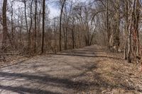 Canadian Autumn Deciduous Forest 003